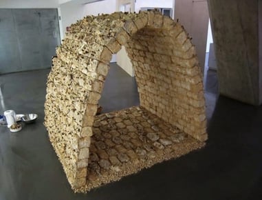 image of mycelium brick development