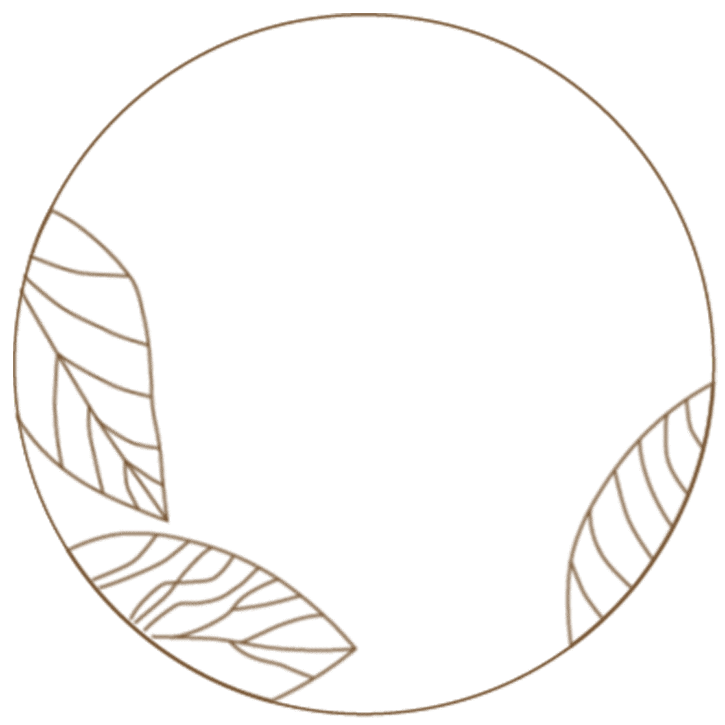 color-leaf-logo-gif-2