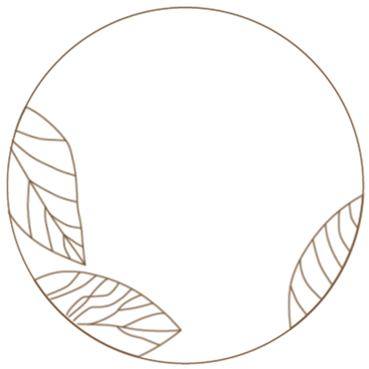 color-leaf-logo-gif
