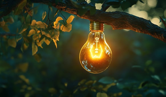 jamiebonnefin_a_lightbulb_glowing_as_it_grows_from_a_tree_bra_04a0e66c-4a2f-4f18-a870-186acc52716b_0
