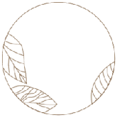 logo_animated_resize
