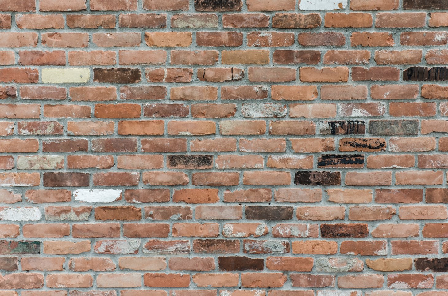 Image of internal brick wall