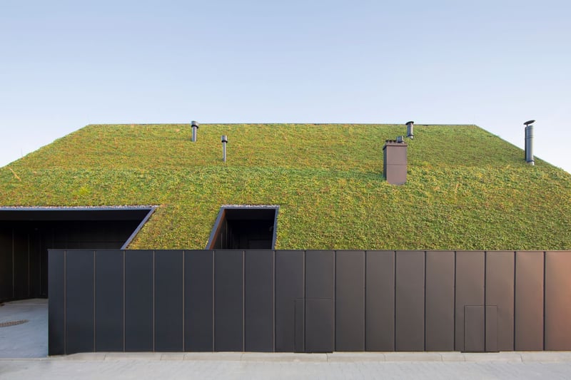 image of roof for green roofs BASIX