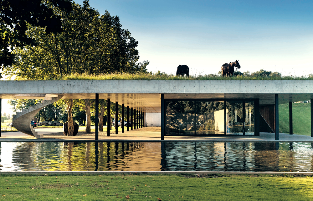 Image of Green Roofs